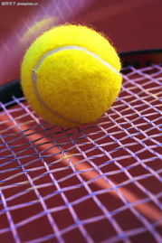 体育用品0096 体育用品图 运动图库 网球 黄色 球拍